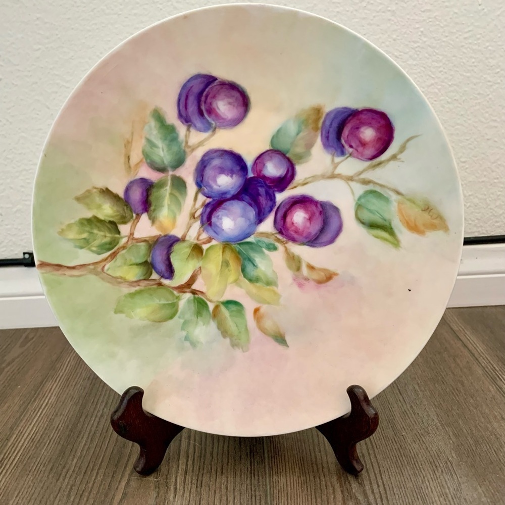 Vintage Hutschenreuther Selb Bavaria Hand Painting 10 Inch
